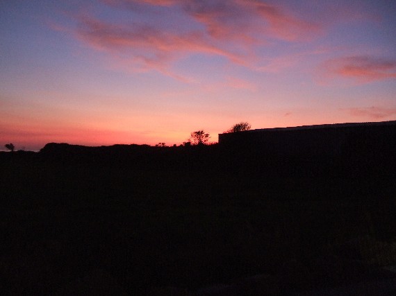 Tring Kickboxing enjoying the sunset